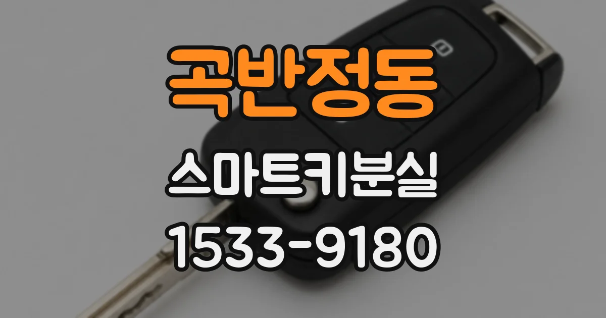 곡반정동 스마트키분실