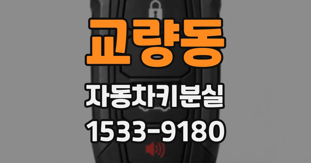 교량동 자동차키분실