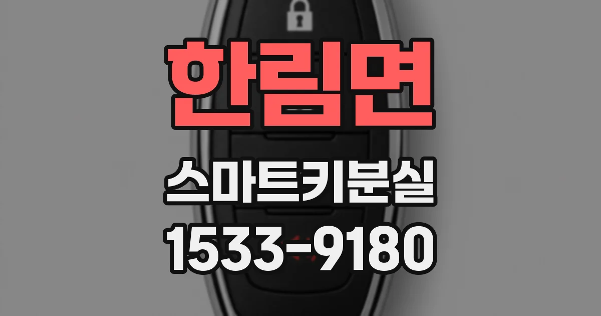 한림면 스마트키분실