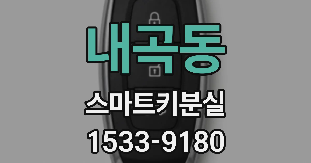 내곡동 스마트키분실