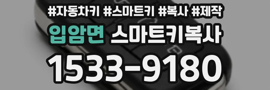 입암면 스마트키복사