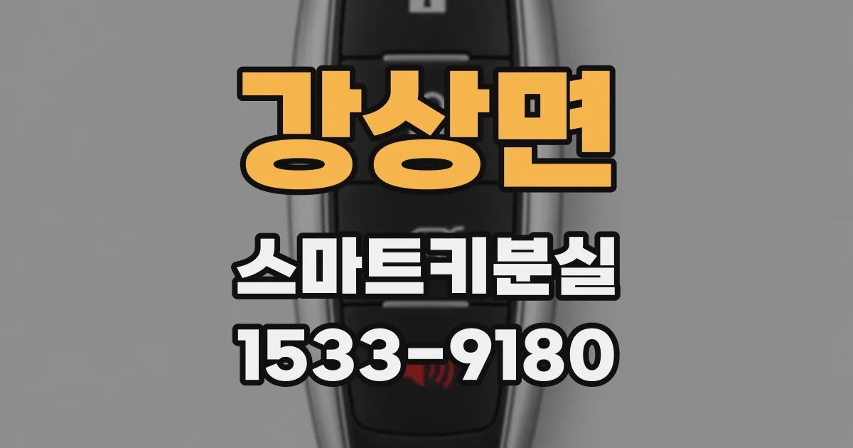 강상면 스마트키분실