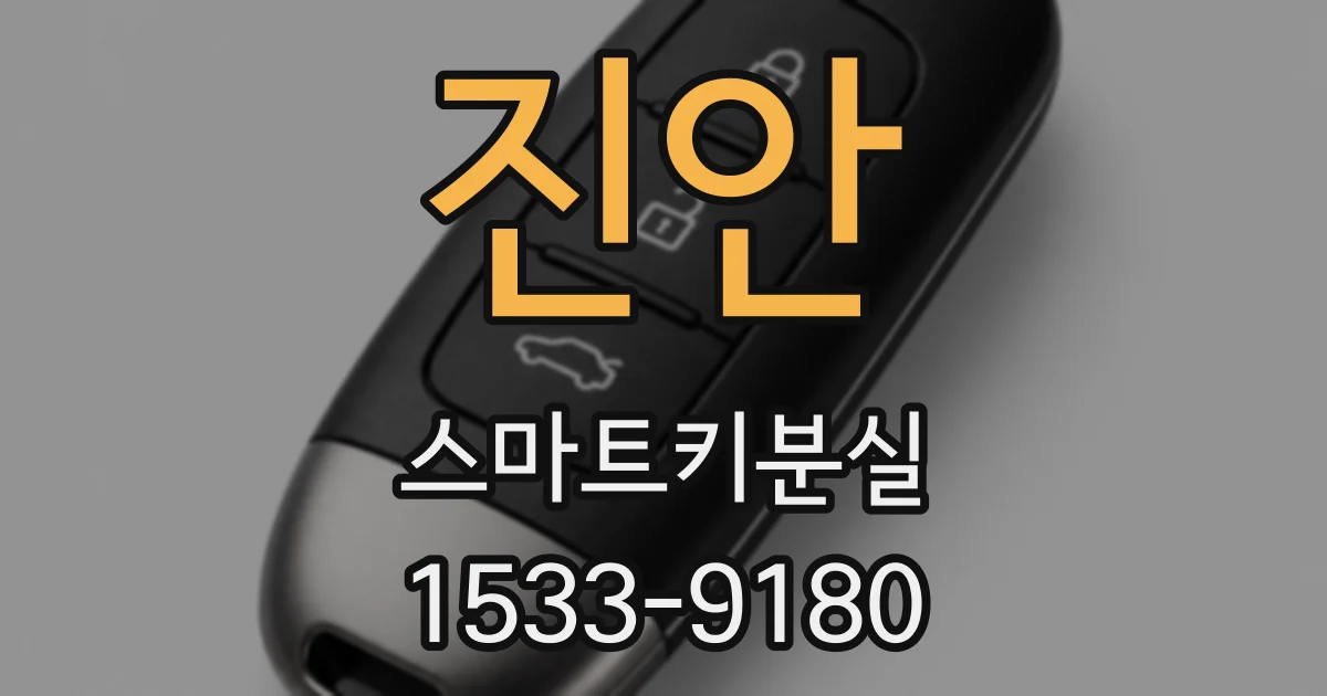 진안 스마트키분실