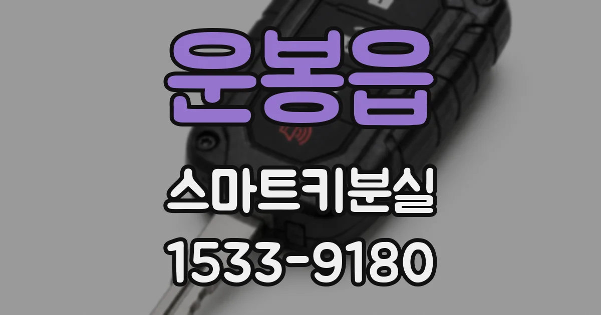 운봉읍 스마트키분실
