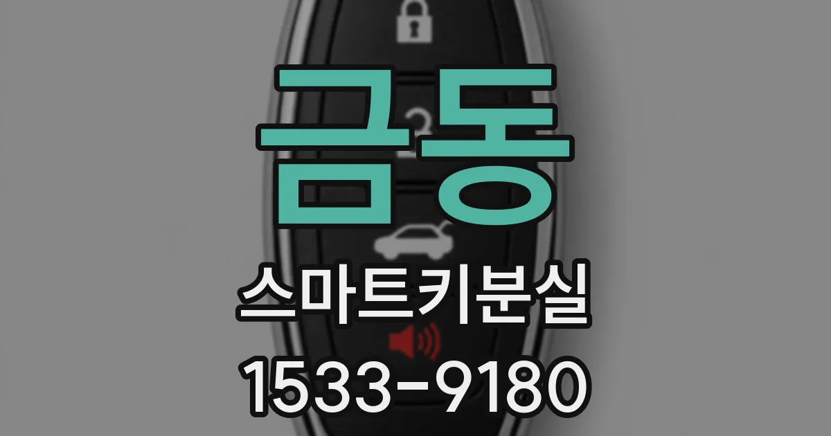 금동 스마트키분실