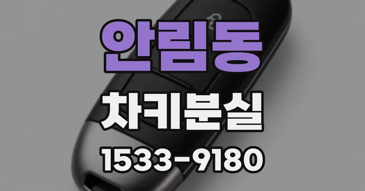 안림동 차키분실