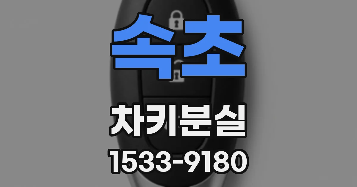 속초 차키분실