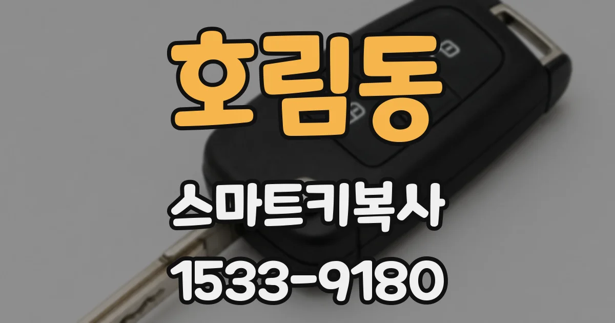 호림동 스마트키복사