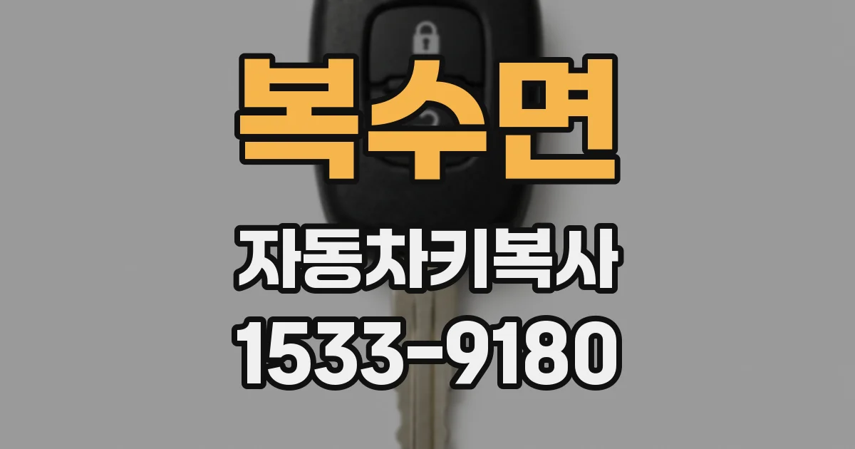복수면 자동차키복사