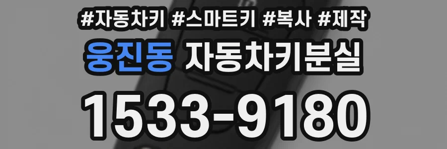 웅진동 자동차키분실