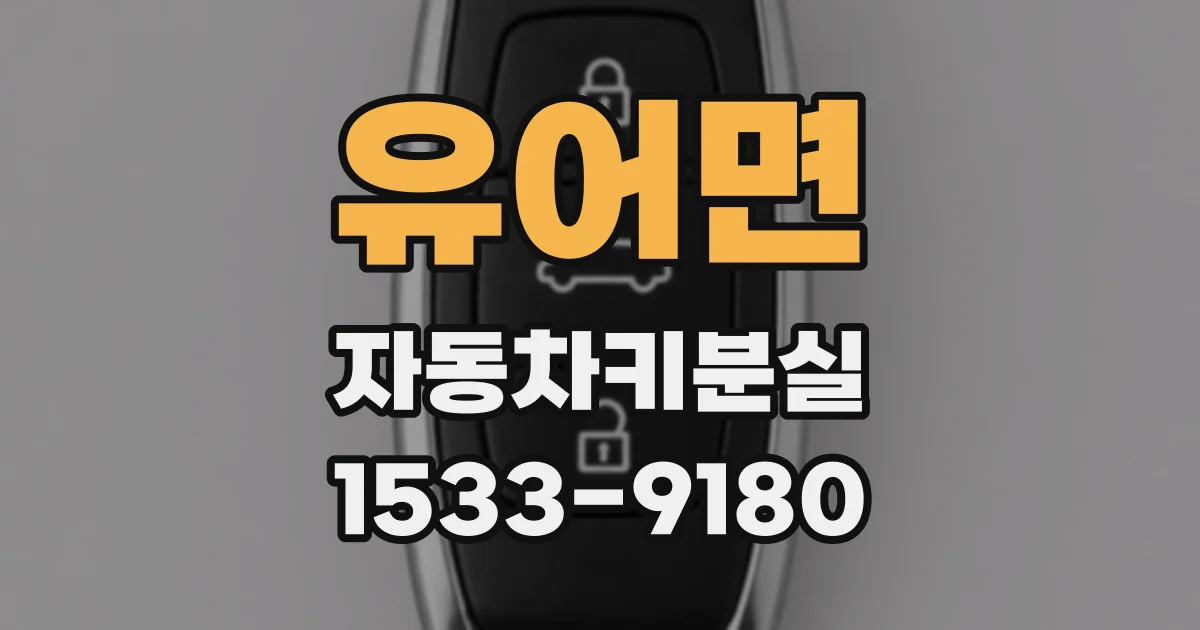 유어면 자동차키분실