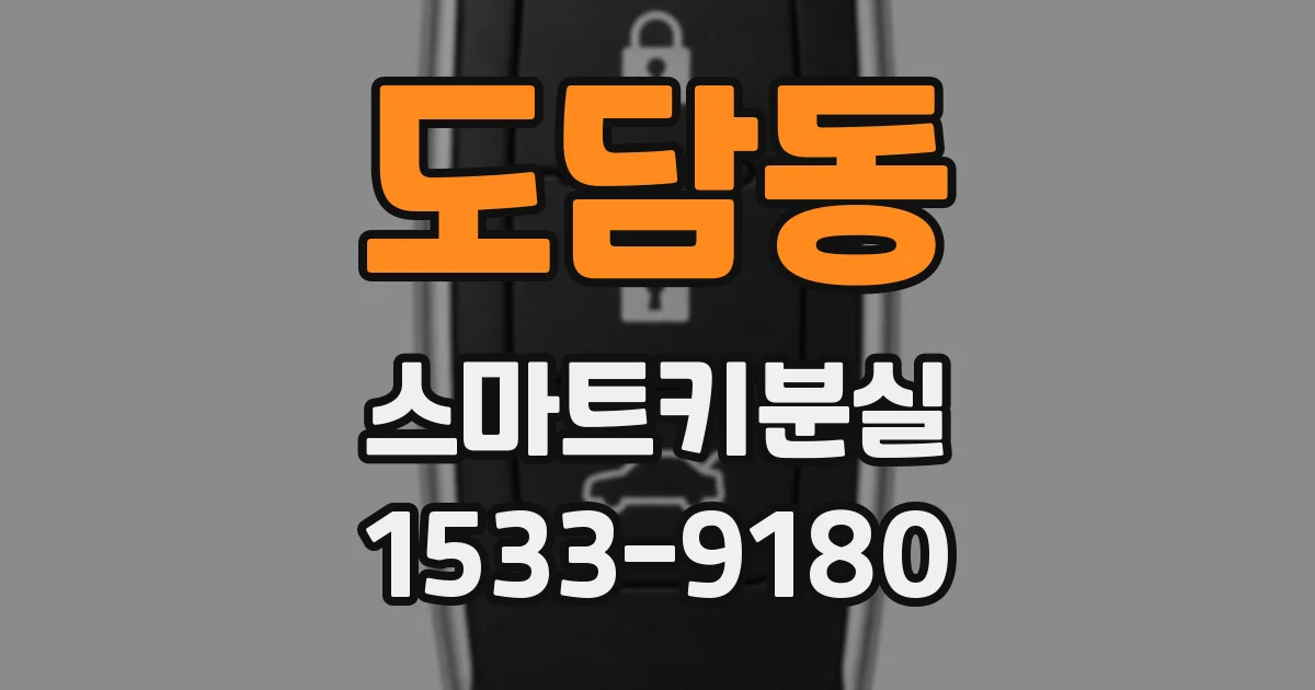 도담동 스마트키분실