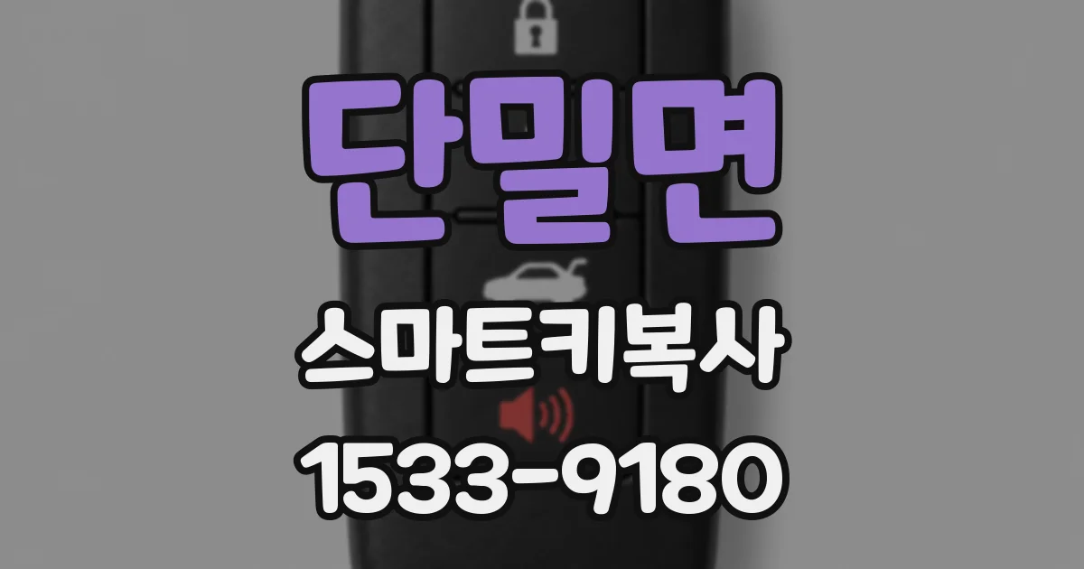 단밀면 스마트키복사