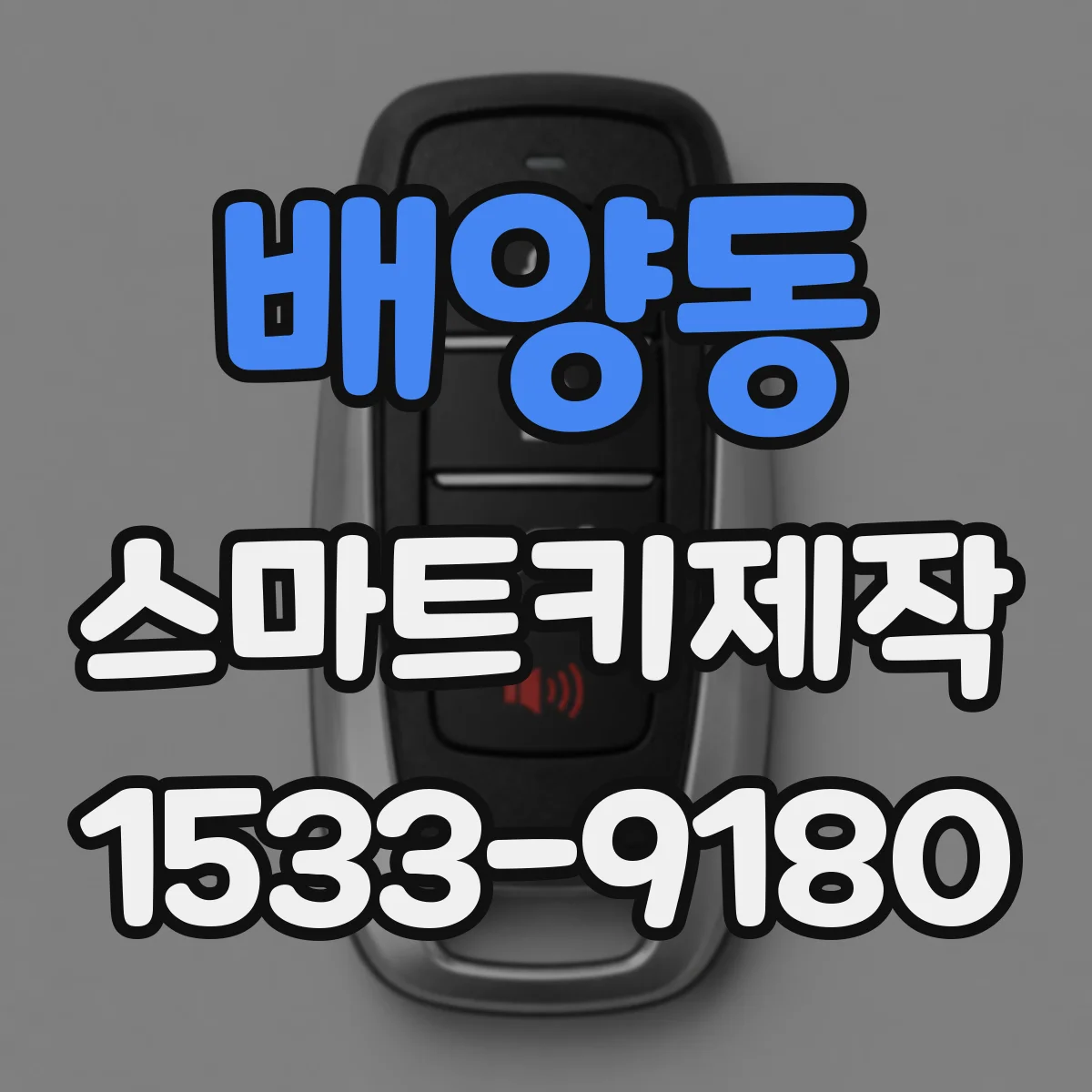 배양동 스마트키제작