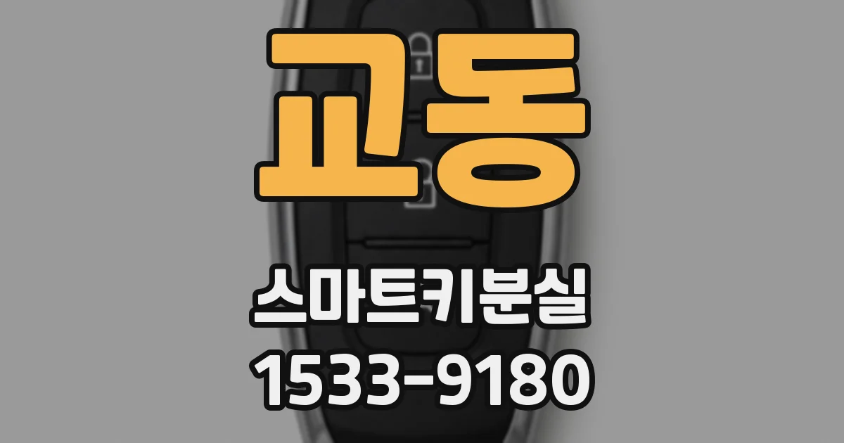 교동 스마트키분실