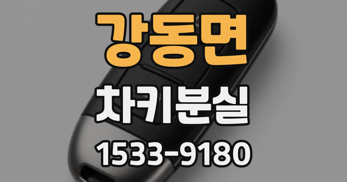 강동면 차키분실