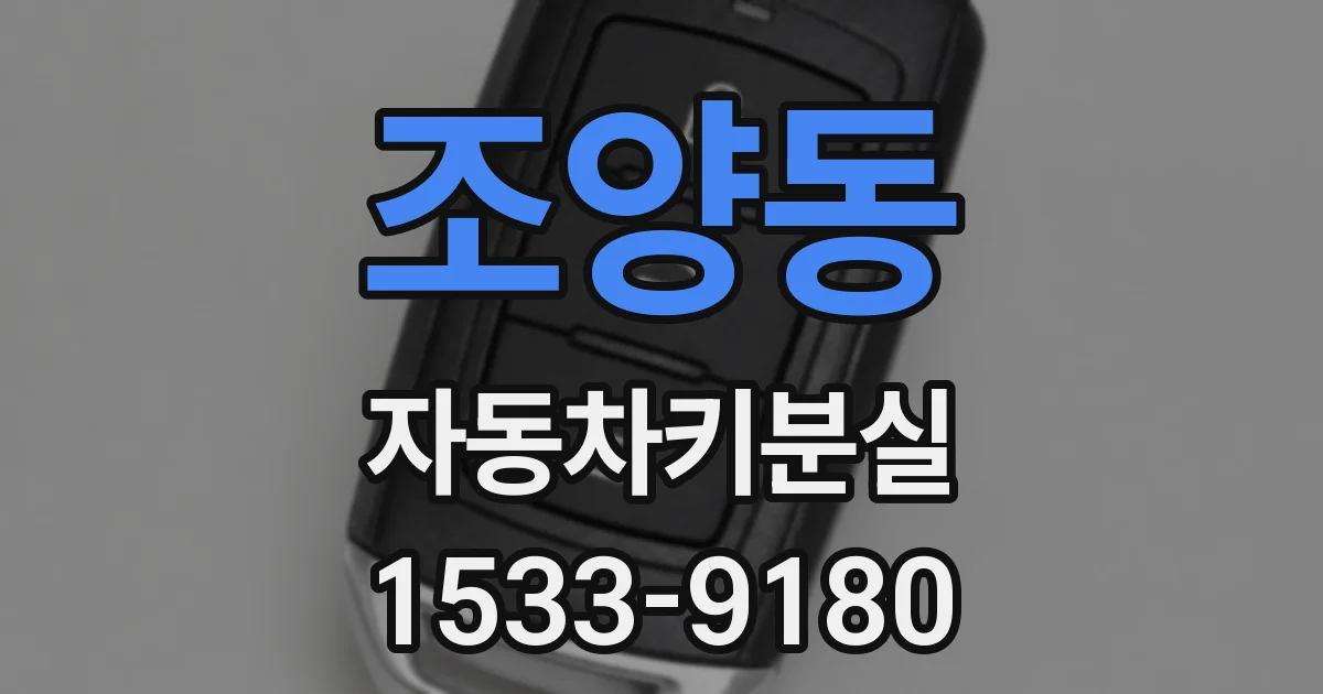 조양동 자동차키분실