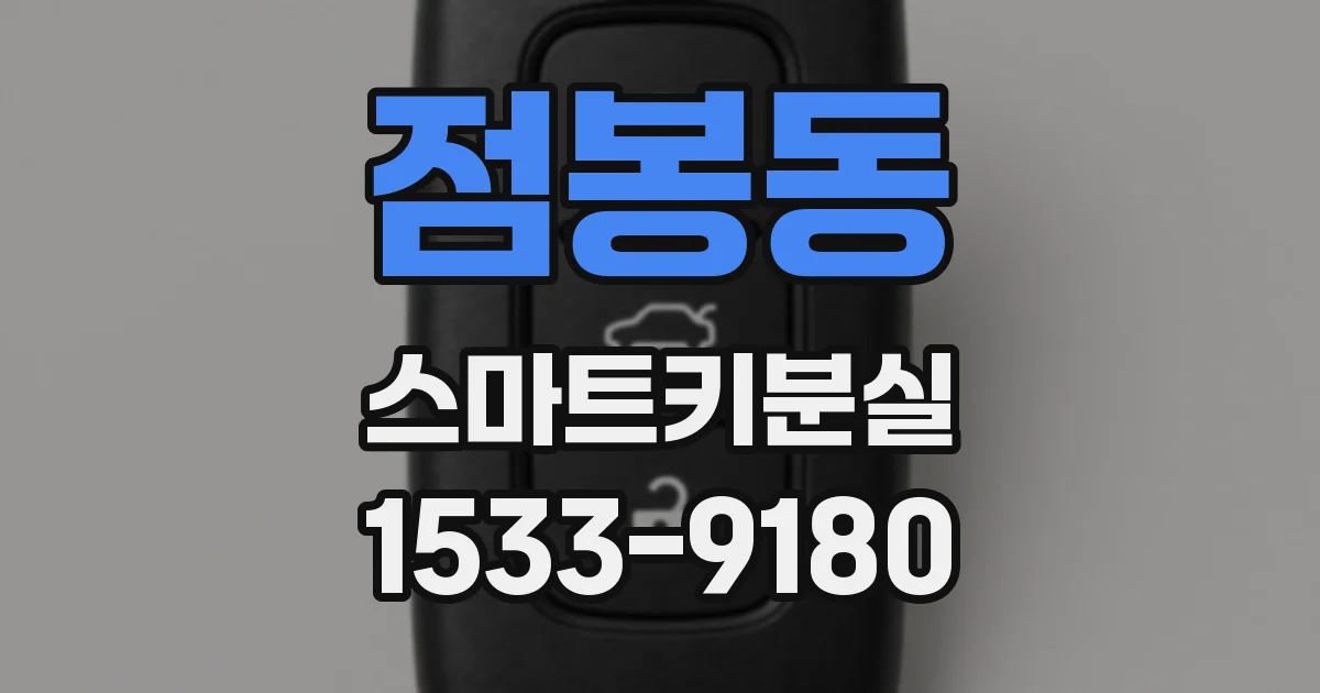 점봉동 스마트키분실