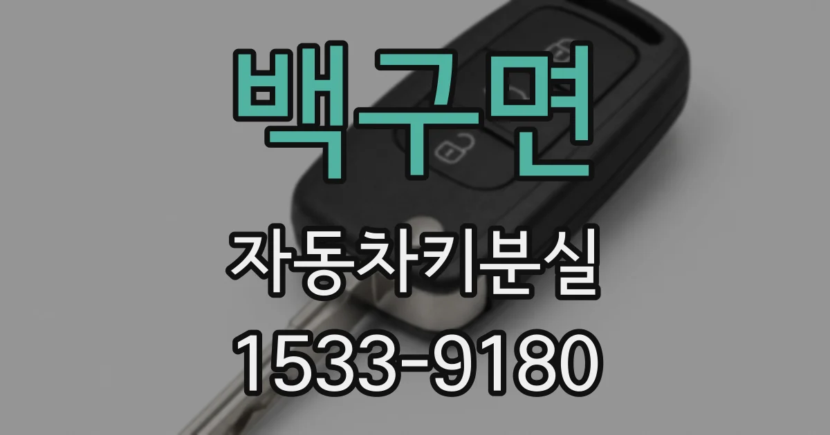 백구면 자동차키분실