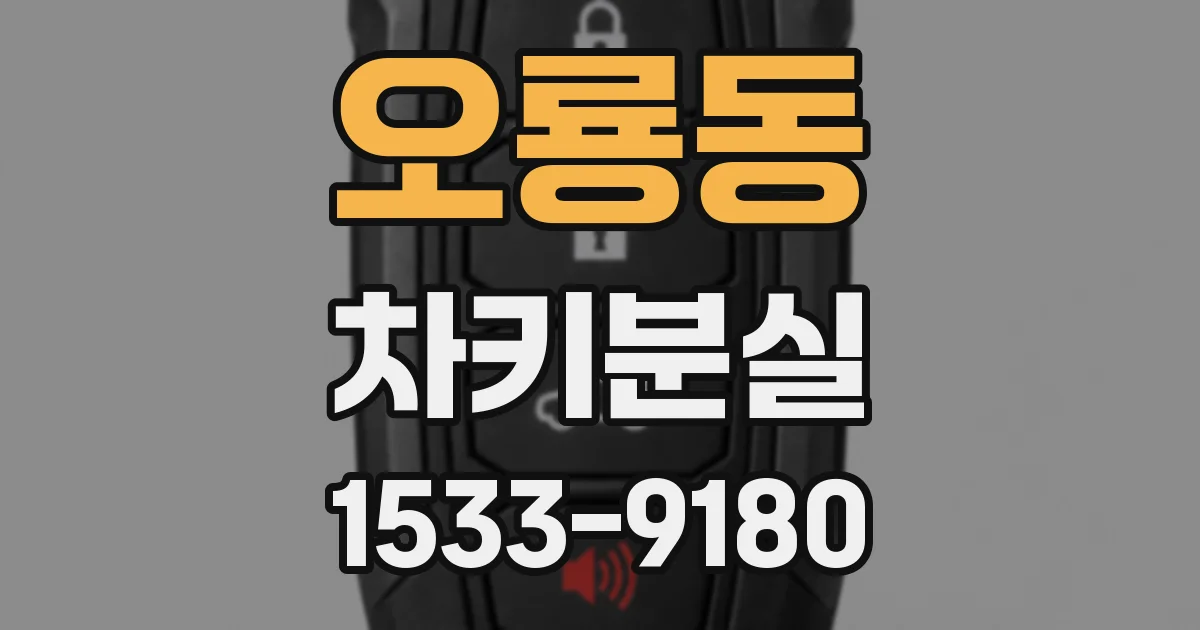 오룡동 차키분실
