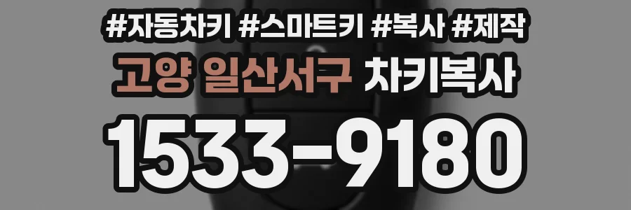 고양 일산서구 차키복사