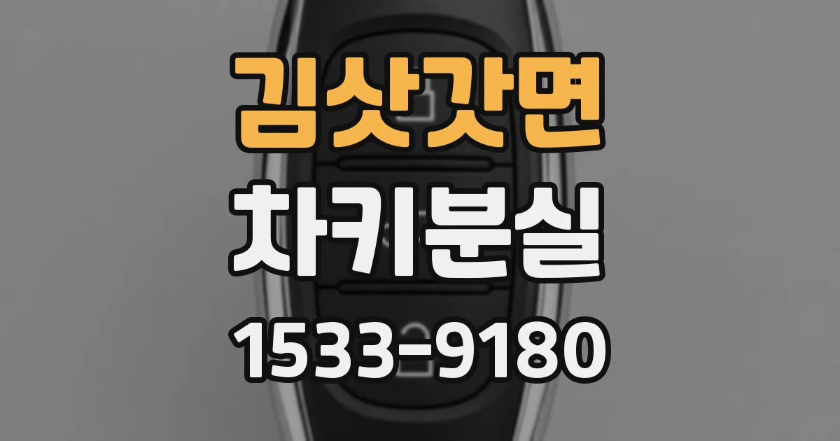 김삿갓면 차키분실