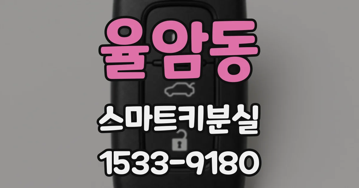 율암동 스마트키분실