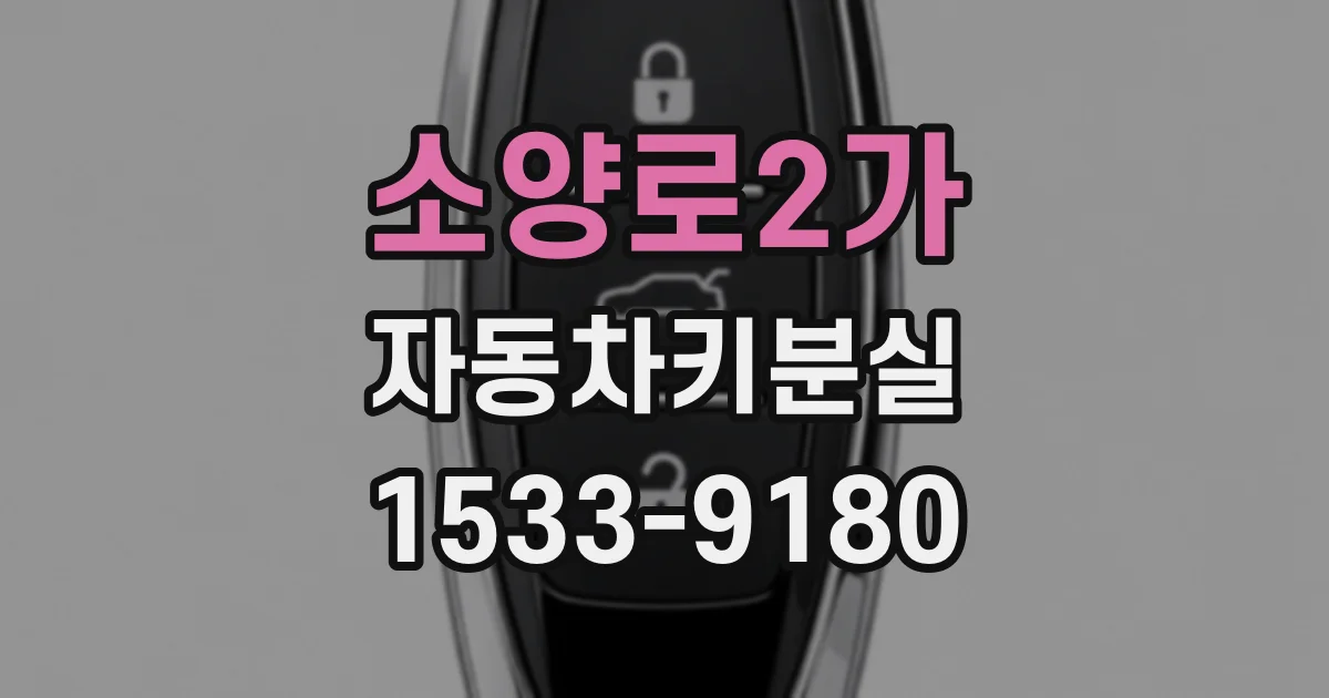 소양로2가 자동차키분실