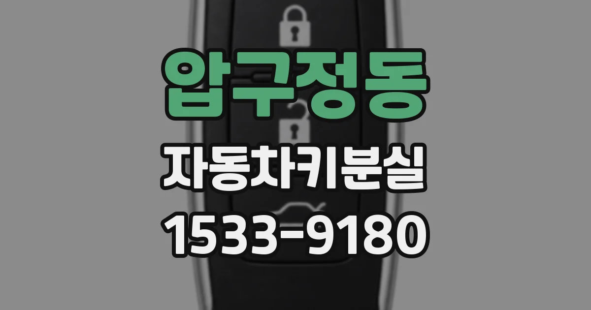 압구정동 자동차키분실