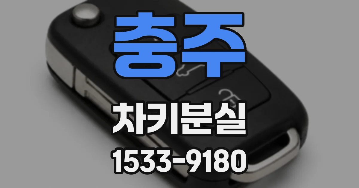 충주 차키분실