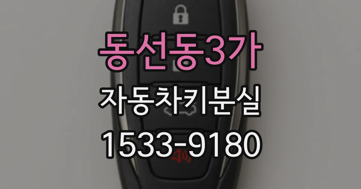 동선동3가 자동차키분실