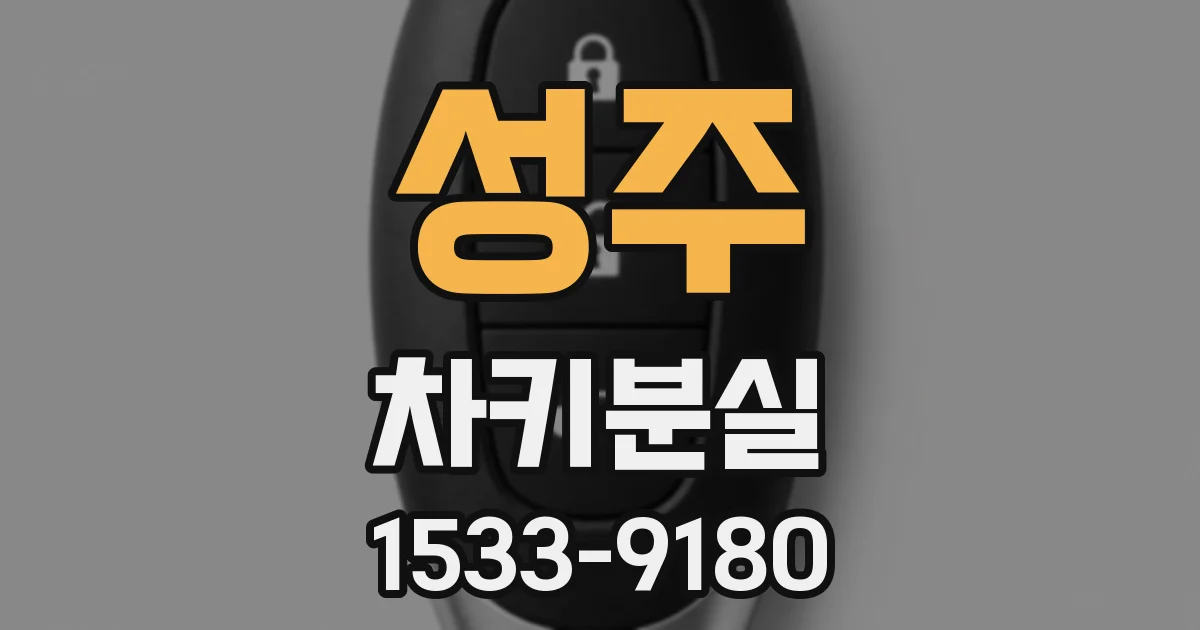 성주 차키분실