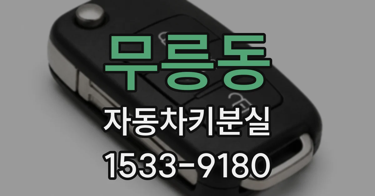 무릉동 자동차키분실