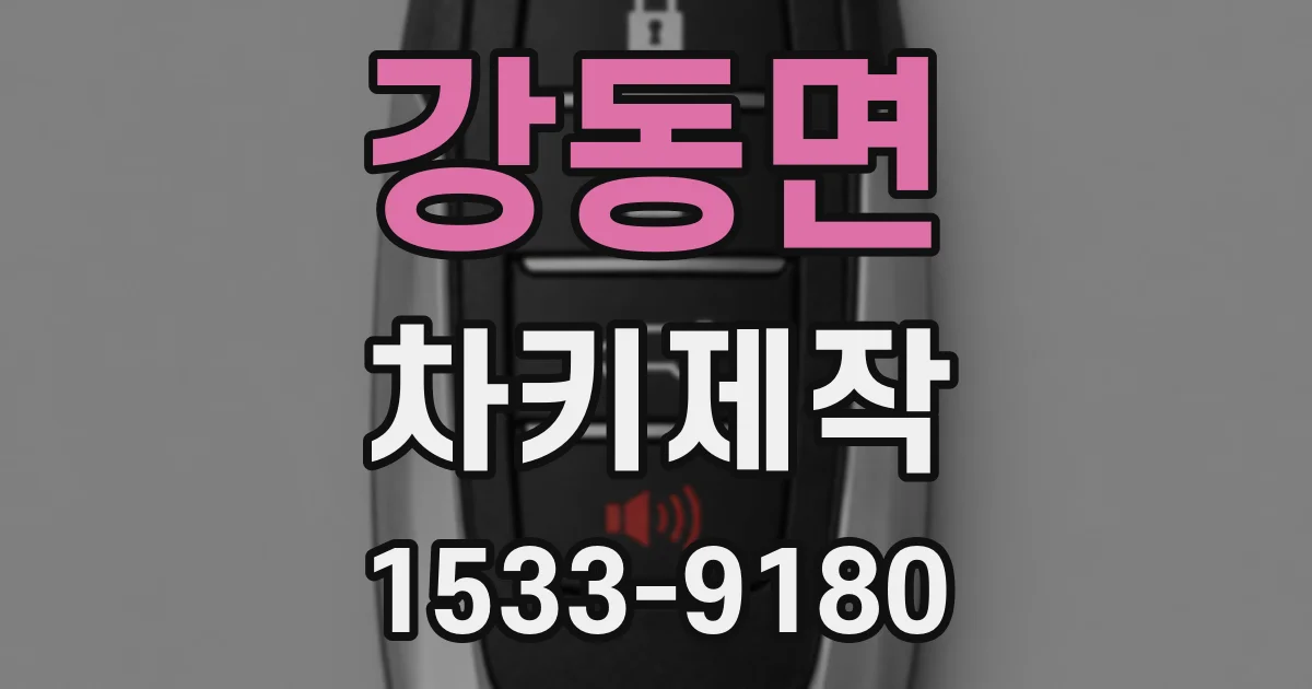 강동면 차키제작