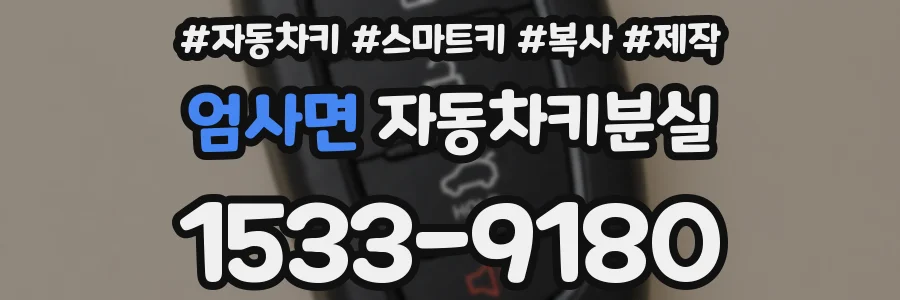 엄사면 자동차키분실