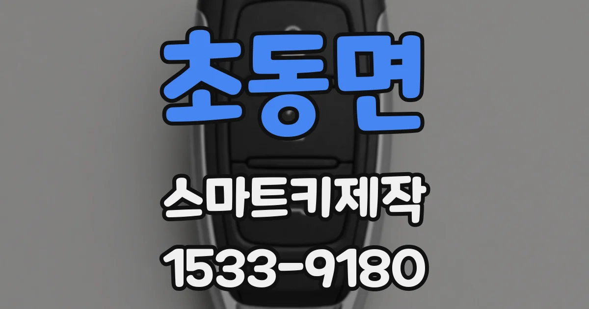 초동면 스마트키제작