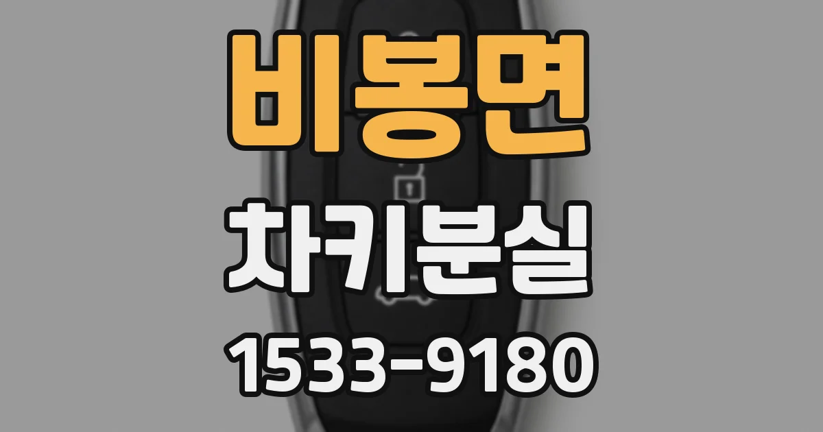 비봉면 차키분실