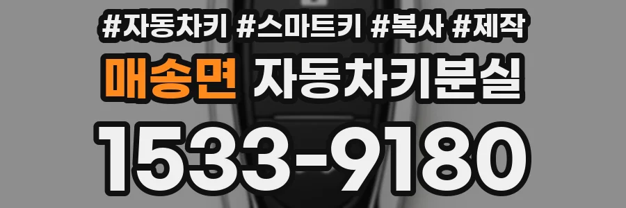 매송면 자동차키분실