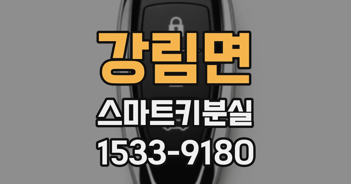 강림면 스마트키분실