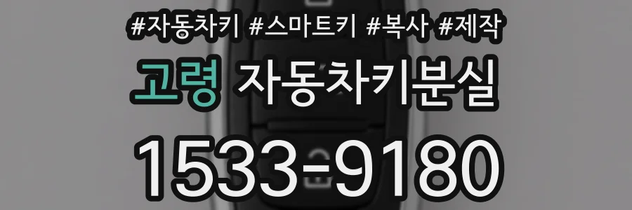 고령 자동차키분실