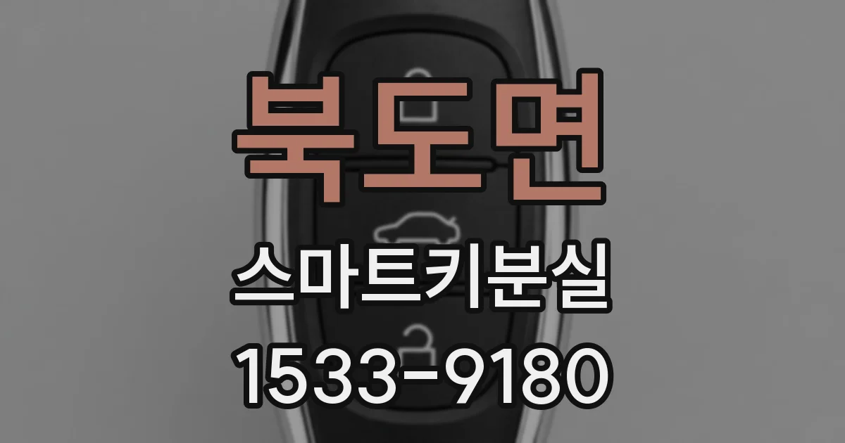 북도면 스마트키분실