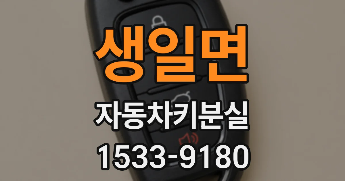 생일면 자동차키분실