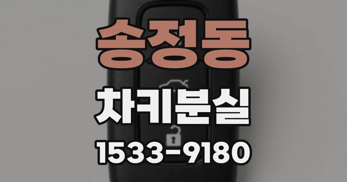 송정동 차키분실