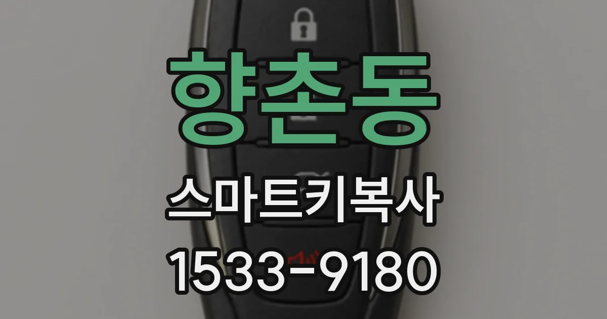 향촌동 스마트키복사