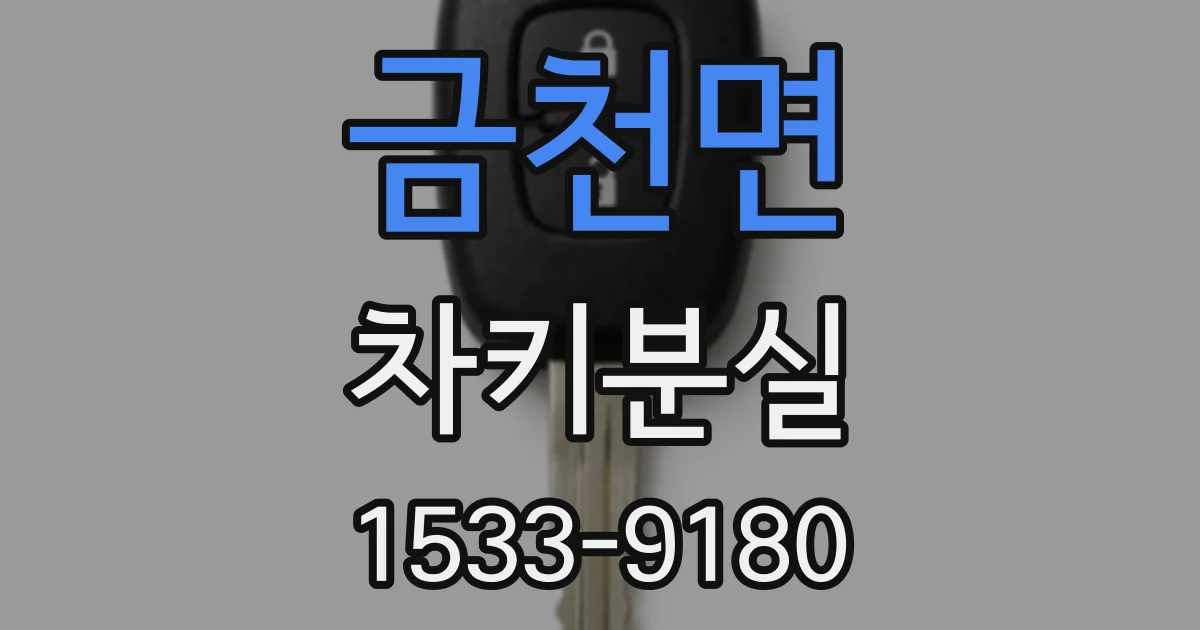 금천면 차키분실
