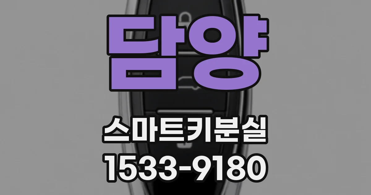 담양 스마트키분실