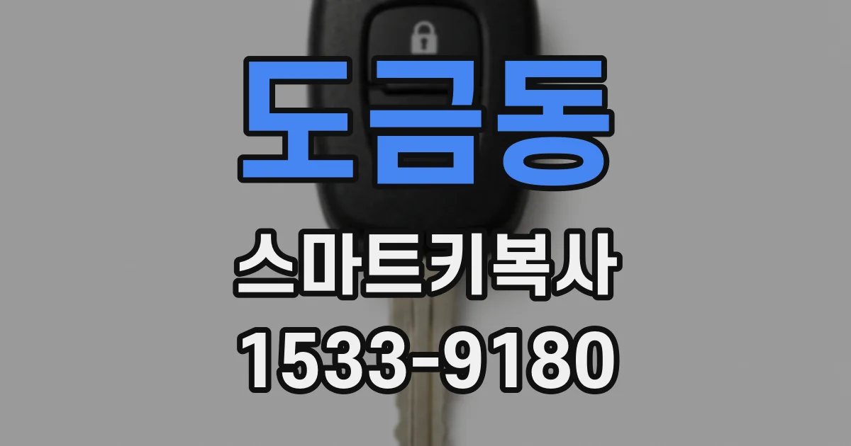 도금동 스마트키복사