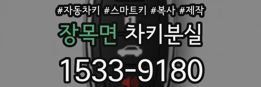 장목면 차키분실