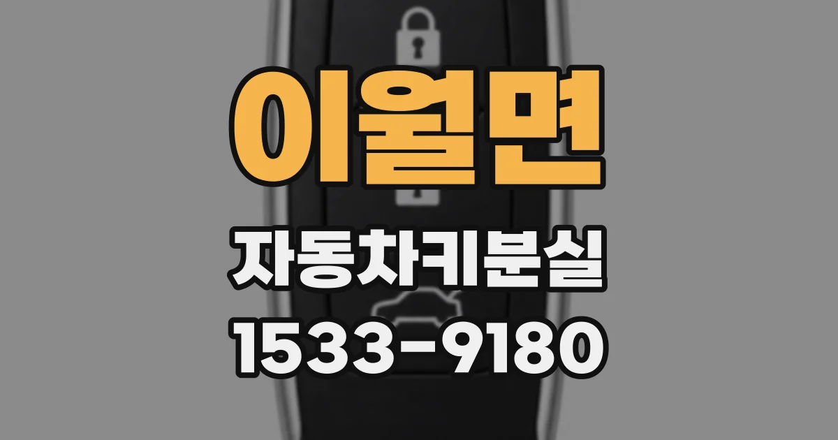이월면 자동차키분실