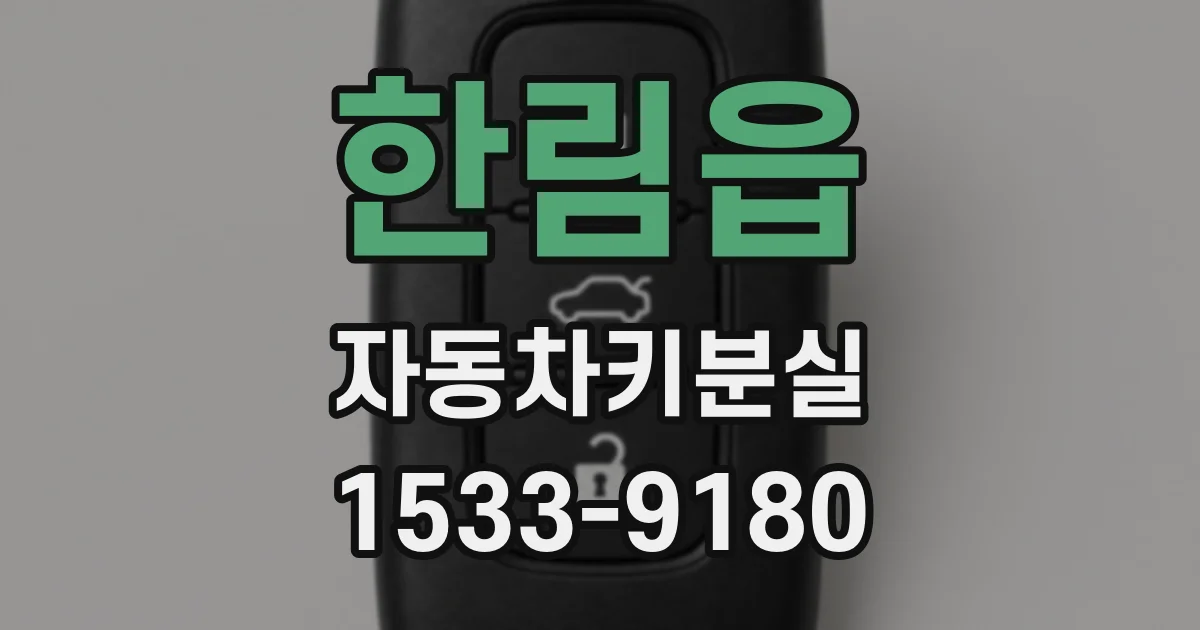 한림읍 자동차키분실